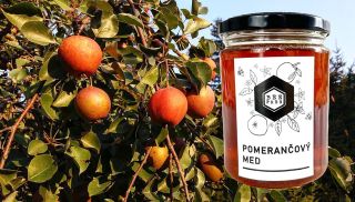 POMERANČOVÝ MED OD DIVOKÝCH VČEL 🐝 Máme naskladněnou novinku od našich kluků Brazilských, kteří včelaří asi nejvíc...